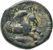 coin rev
