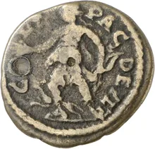 coin rev