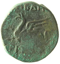 coin rev