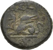coin rev