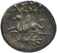 coin rev