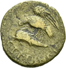 coin rev
