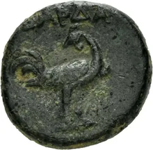 coin rev