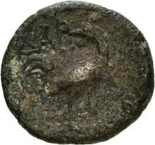 coin rev