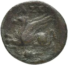 coin rev