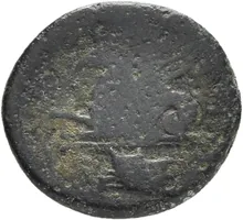 coin rev