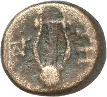coin rev