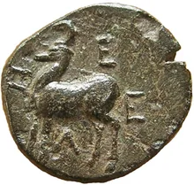 coin rev