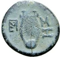 coin rev