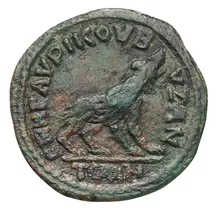coin rev