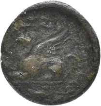 coin rev