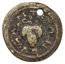 coin rev