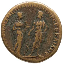 coin rev