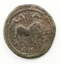 coin rev