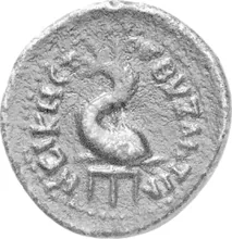 coin rev