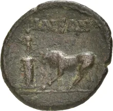 coin rev