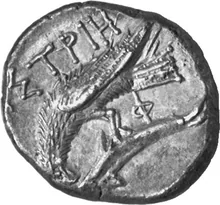 coin rev