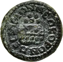 coin rev