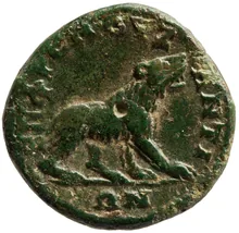 coin rev