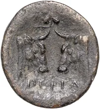 coin rev