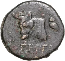 coin rev
