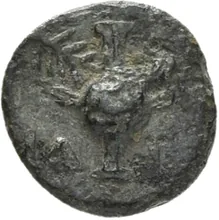 coin rev
