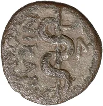 coin rev