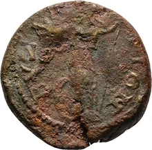 coin rev