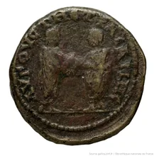 coin rev