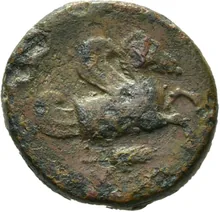 coin rev