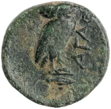 coin rev