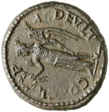 coin rev