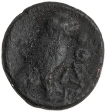 coin rev