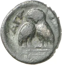 coin rev