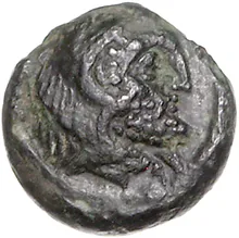coin obv
