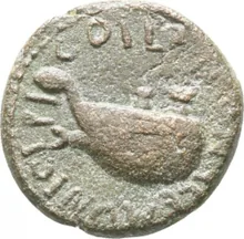 coin rev