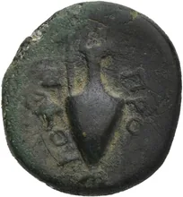 coin rev