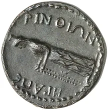 coin rev