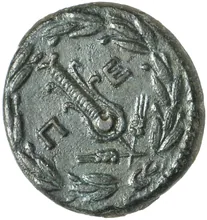 coin rev
