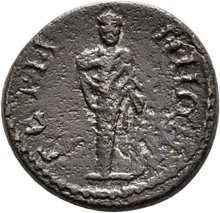 coin rev