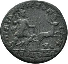 coin rev