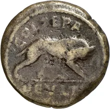 coin rev