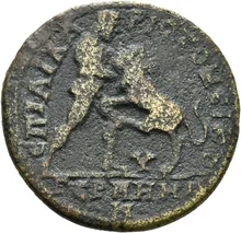 coin rev
