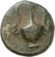 coin rev