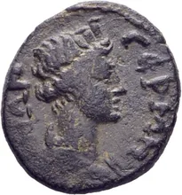 coin rev