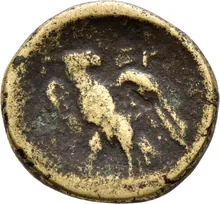 coin rev