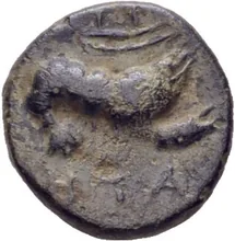 coin rev