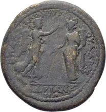 coin rev