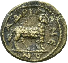 coin rev