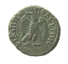 coin rev